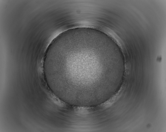 X0000101700875200807241429