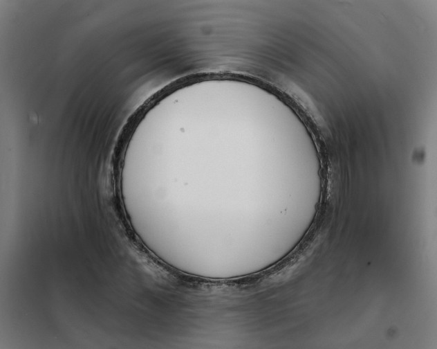 X0000101700876200807241429