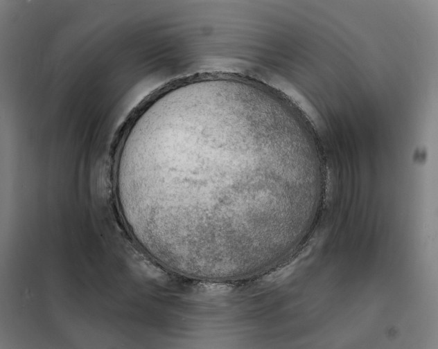 X0000101700878200807241429