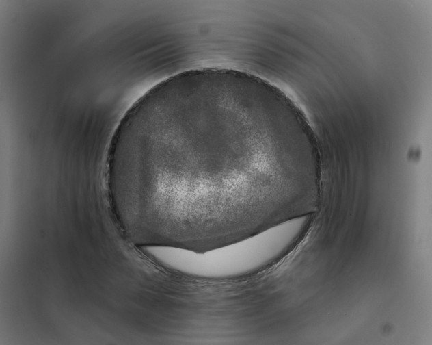 X0000101700879200807241429