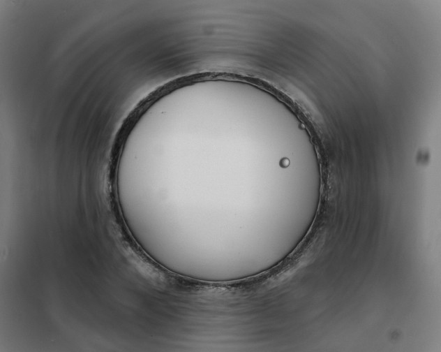 X0000101700880200807241429