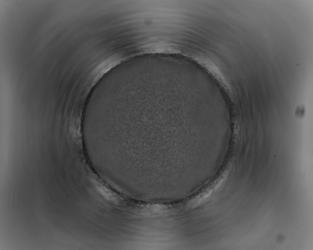 X0000101700881200807241429