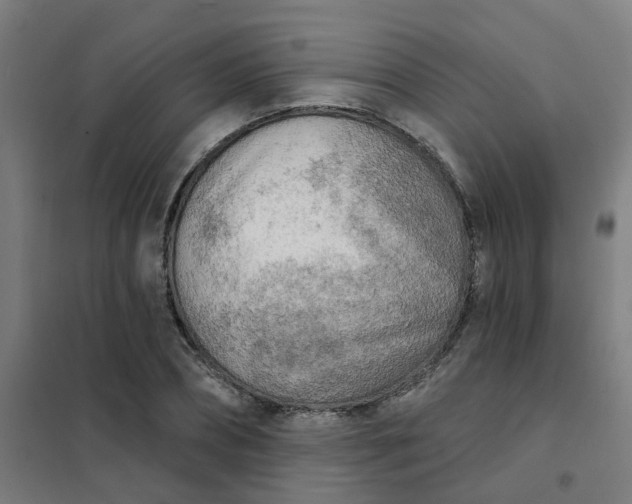 X0000101700882200807241429