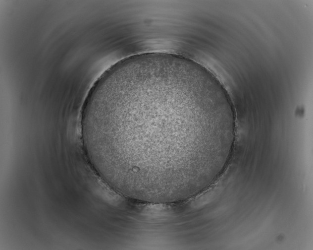 X0000101700883200807241429