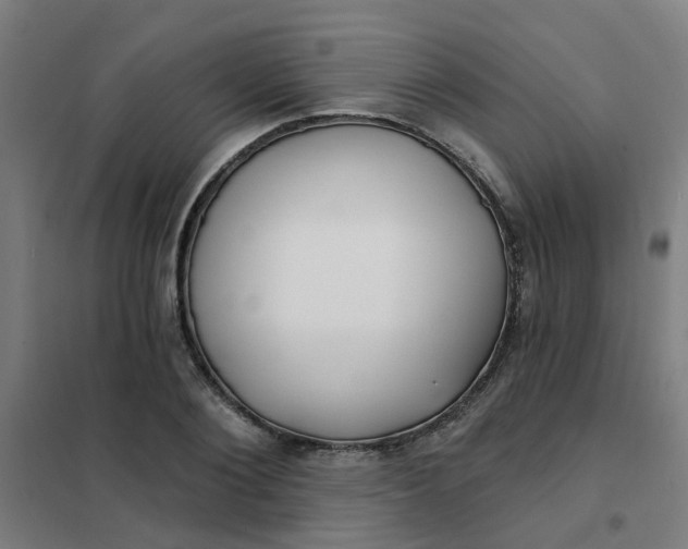 X0000101700884200807241429