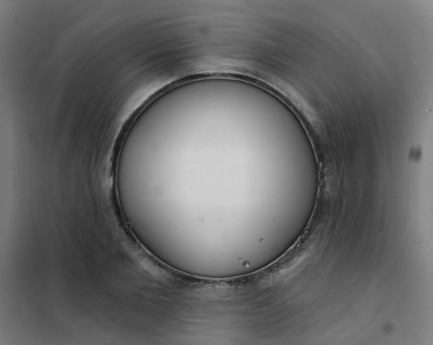 X0000101700885200807241429