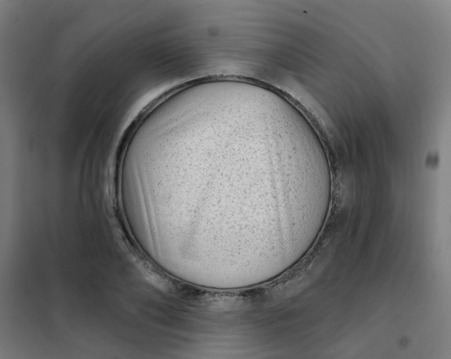 X0000101700886200807241429