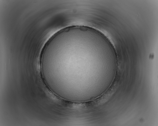 X0000101700887200807241429