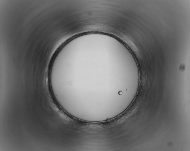 X0000101700888200807241429