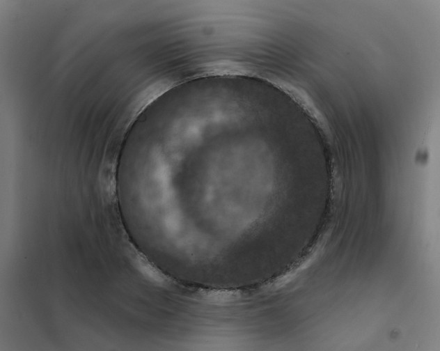 X0000101700889200807241429