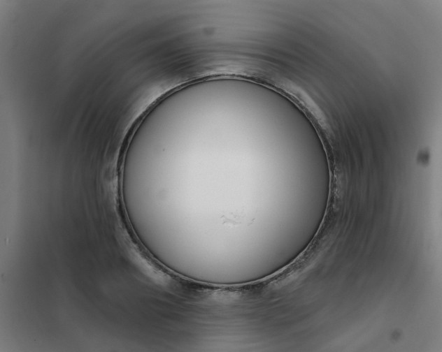 X0000101700890200807241429