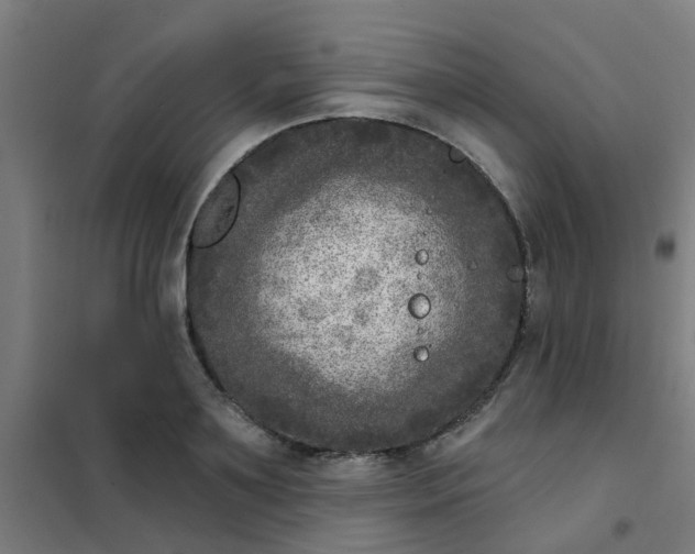 X0000101700891200807241429