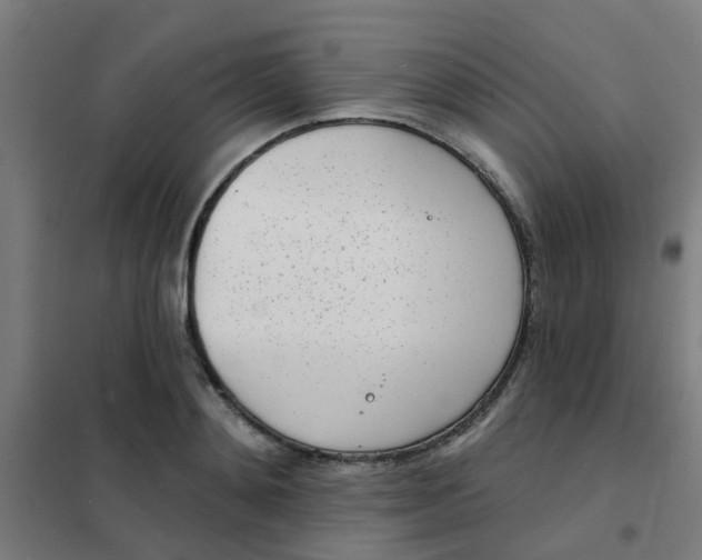 X0000101700892200807241429