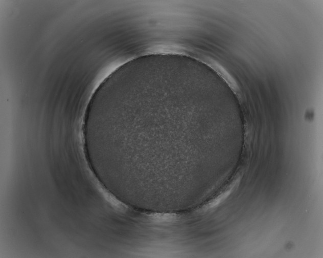 X0000101700893200807241429