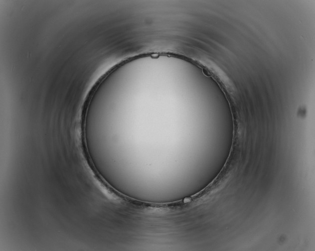 X0000101700894200807241429