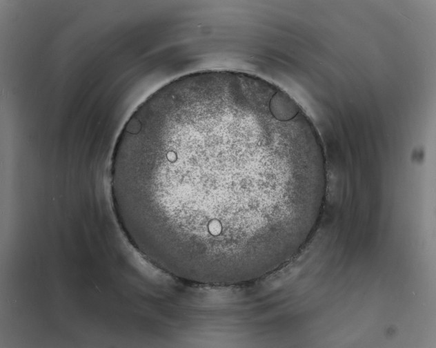 X0000101700895200807241429