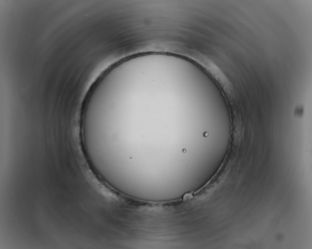 X0000101700896200807241429