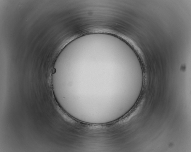 X0000101700897200807241429