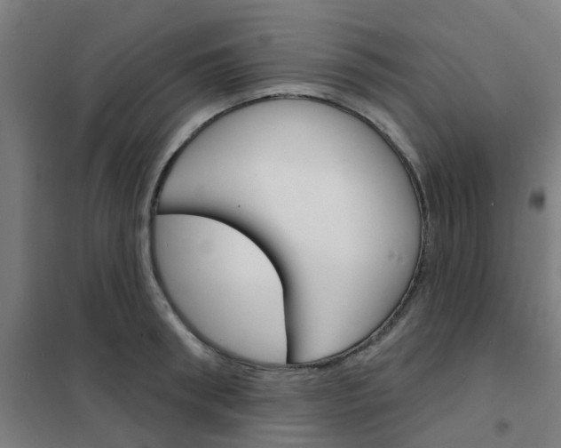 X0000101700898200807241429