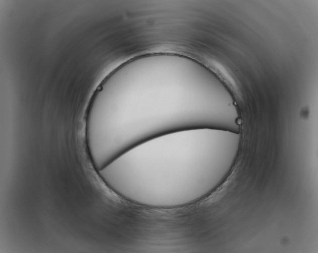 X0000101700900200807241429