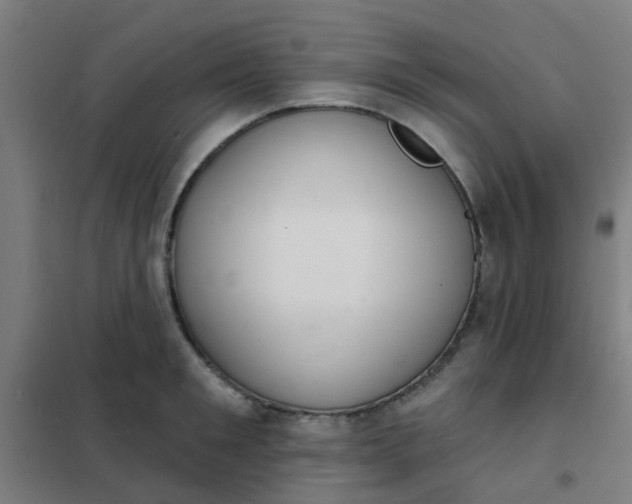 X0000101700901200807241429