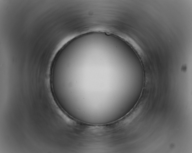 X0000101700902200807241429