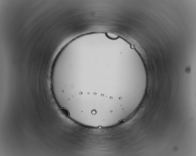 X0000101700904200807241429