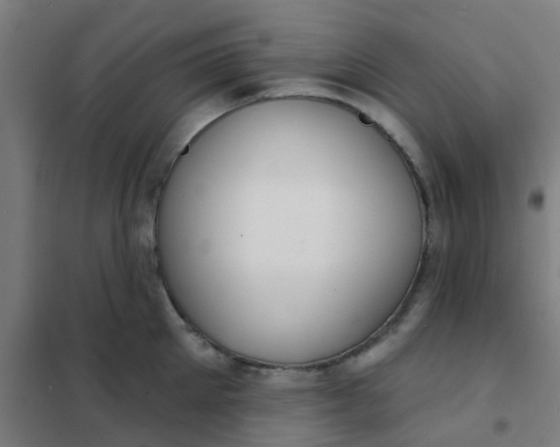 X0000101700905200807241429