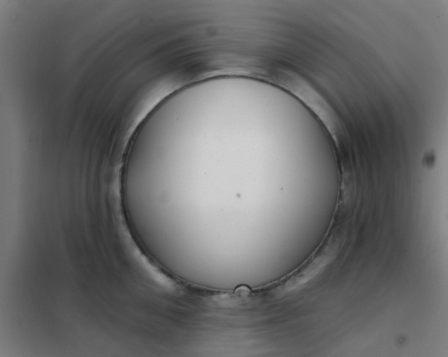 X0000101700906200807241429