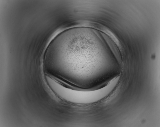 X0000101700907200807241429