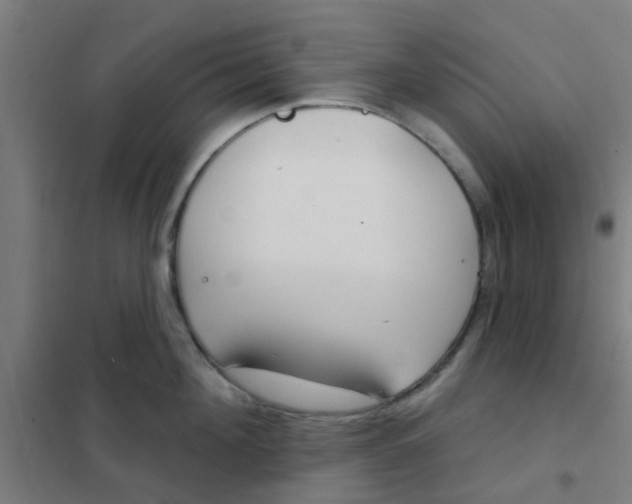 X0000101700908200807241429