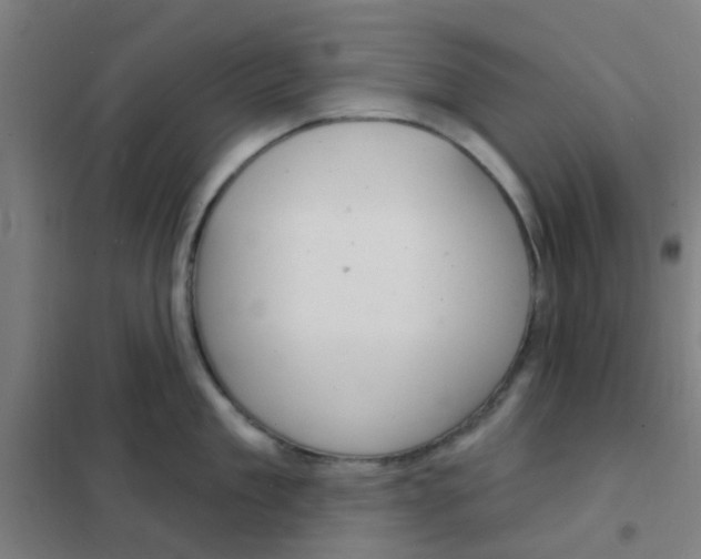 X0000101700909200807241429