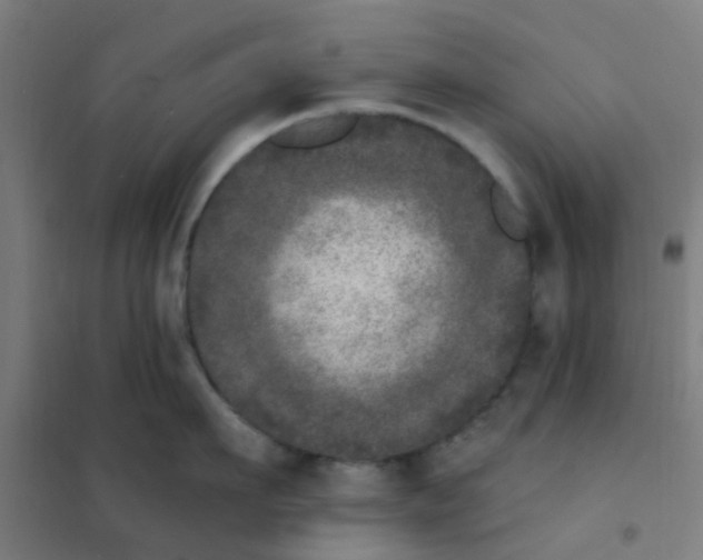 X0000101700911200807241429