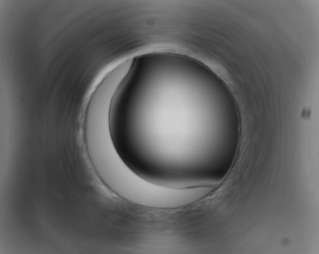 X0000101700912200807241429