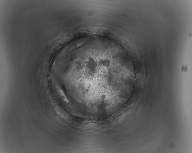 X0000101700913200807241428