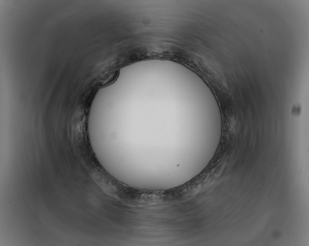 X0000101700914200807241428