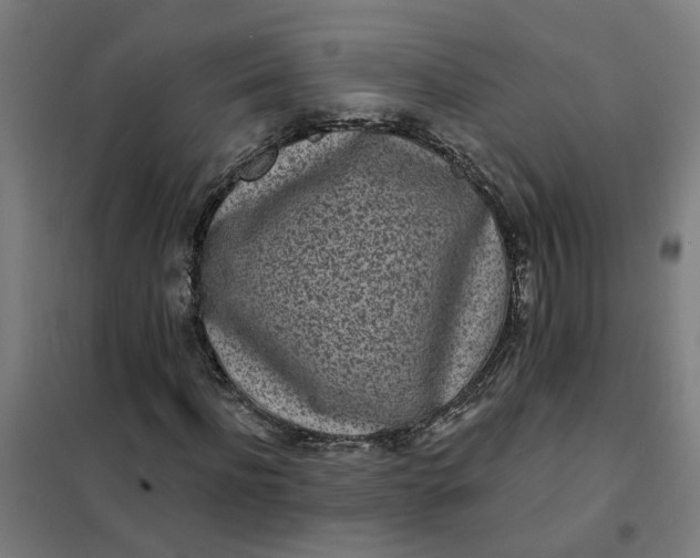 X0000101700916200807241428