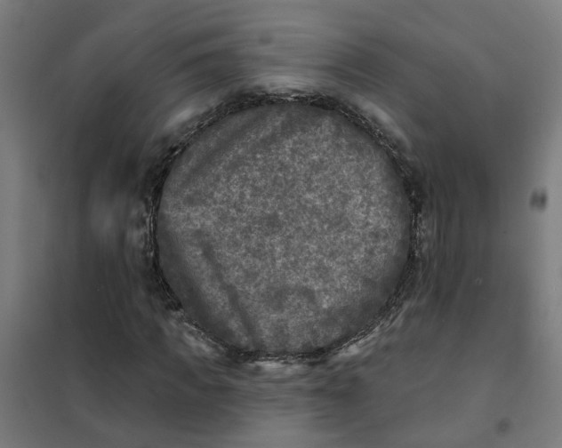 X0000101700917200807241428