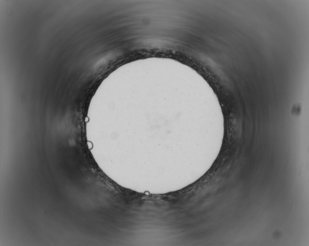 X0000101700918200807241428