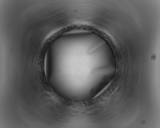 X0000101700919200807241428