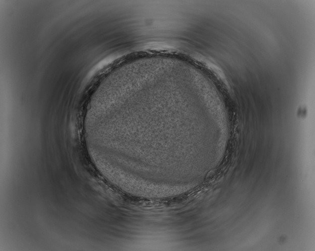 X0000101700920200807241428