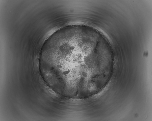 X0000101700921200807241428