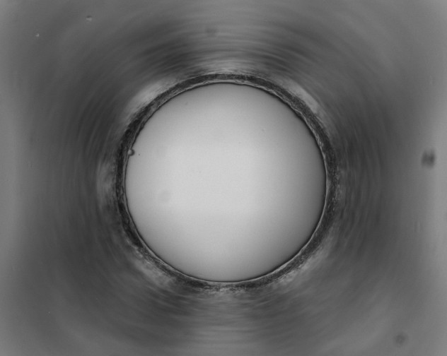 X0000101700922200807241428