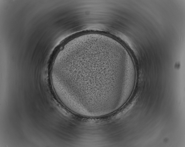 X0000101700923200807241428