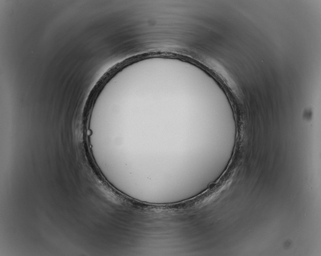 X0000101700924200807241428