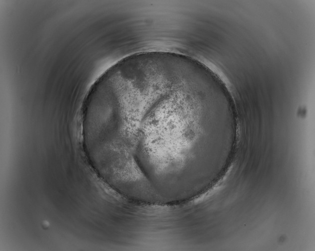 X0000101700925200807241428