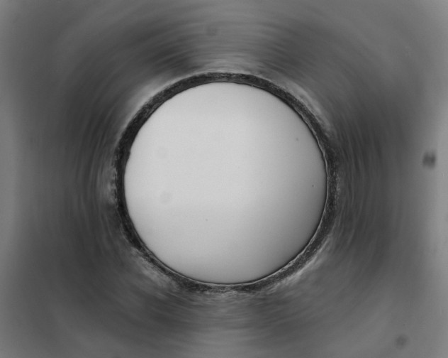 X0000101700926200807241428