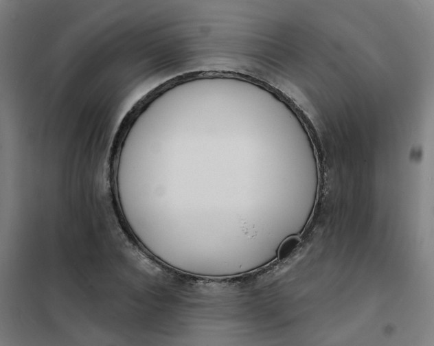 X0000101700928200807241428