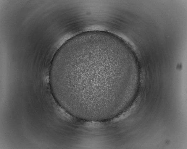 X0000101700929200807241428