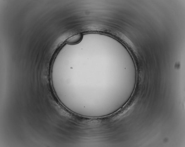 X0000101700930200807241428